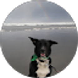 Profile photo of chemyn kodis