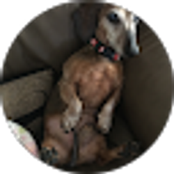 Profile photo of Harold Love