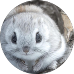 Profile photo of Damien Cornwell