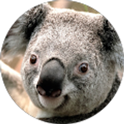 Profile photo of Jim giffin