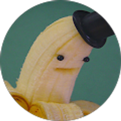 Profile photo of Xander Ibis