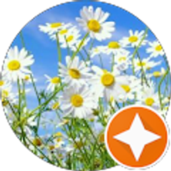 Profile photo of Jennifer Strausser