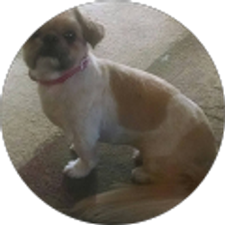 Profile photo of Michael Barnett