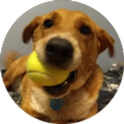 Profile photo of Elijah Hilty