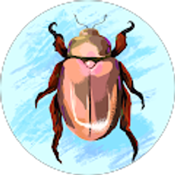 Profile photo of Jordyn D'Hondt