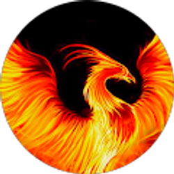 Profile photo of M Shekar