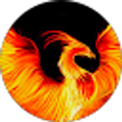 Profile photo of M Shekar
