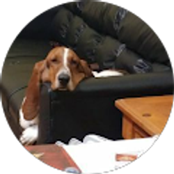 Profile photo of trevor george