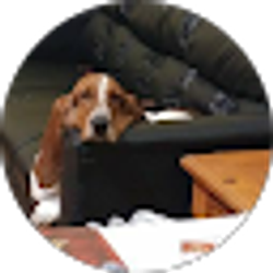 Profile photo of trevor george
