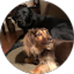 Profile photo of Lacey Wicks