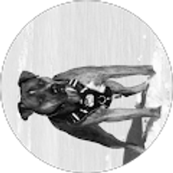 Profile photo of Elias Garcia