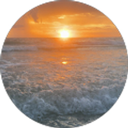 Profile photo of Andrea Del Valle