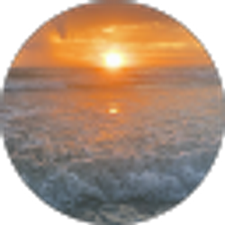 Profile photo of Andrea Del Valle