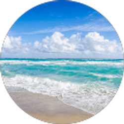 Profile photo of Matthew Wells