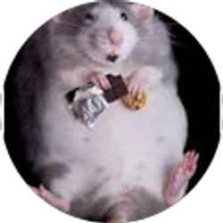 Profile photo of Malachi Patterson