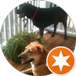 Profile photo of Somone Famous