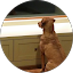 Profile photo of Andrew Brookens