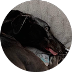 Profile photo of Sharon Toney