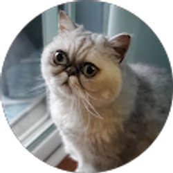 Profile photo of Karley Dyson