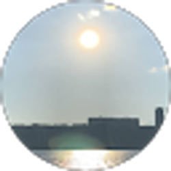 Profile photo of Dan Li