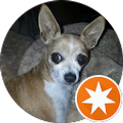 Profile photo of Roxana Corralejo