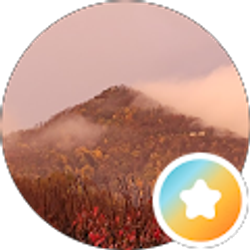 Profile photo of Sydney M