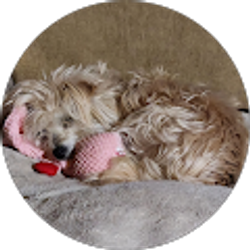 Profile photo of Heather Thompson