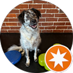 Profile photo of Mark Shuford