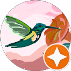 Profile photo of Nomi Hernandez