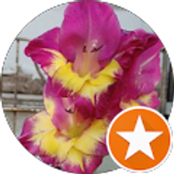 Profile photo of Jacque Marshall