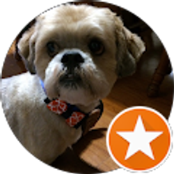 Profile photo of George Martinez