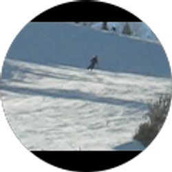 Profile photo of Fabian Zeller