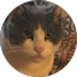 Profile photo of Carlos Viettro