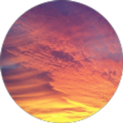 Profile photo of Ana Iraheta