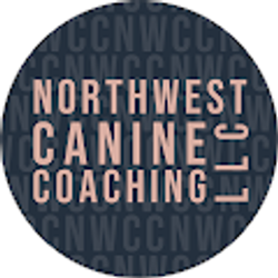 Profile photo of Bailey Palmer