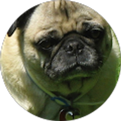 Profile photo of 4 usa