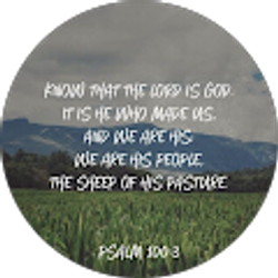 Profile photo of America Adames