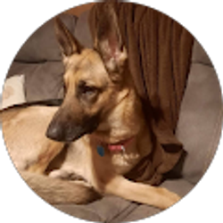 Profile photo of Cody Searcy