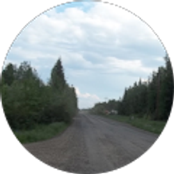 Profile photo of tany morales