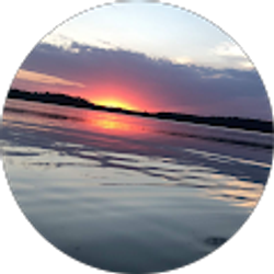 Profile photo of Brandon Medina