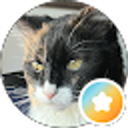 Profile photo of Ghostcat