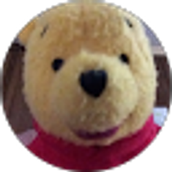 Profile photo of Liz O'Keefe