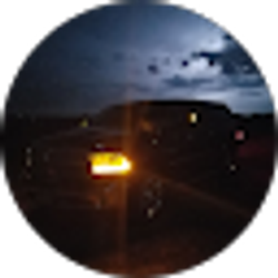 Profile photo of Shawn Lerol