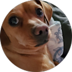 Profile photo of Anna Wilhite