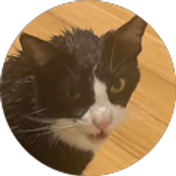 Profile photo of Louis