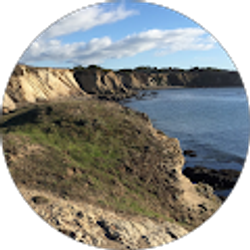 Profile photo of mark gross