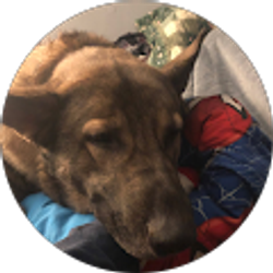 Profile photo of Welder Mike