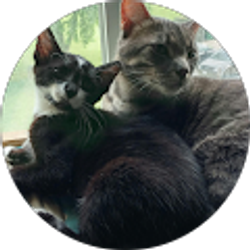 Profile photo of Cheryl Class