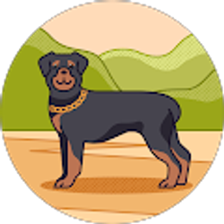 Profile photo of Kimber