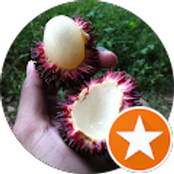 Profile photo of Sheehan Gobin